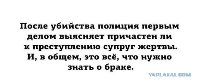 Рейтинг аленей уходящего 2021 года