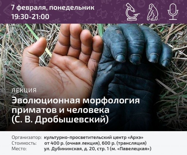 Что ожидает человечество в будущем?