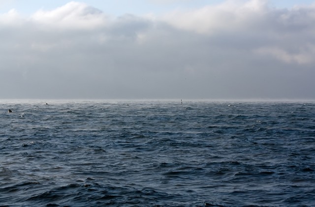 Чёрное море