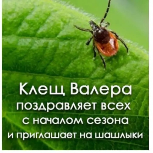 Мир! Труд! Май!