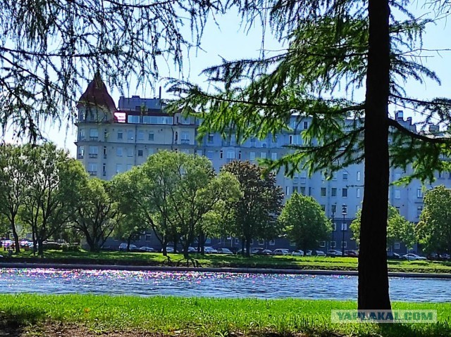 За ширмой дворцов. Городские контрасты