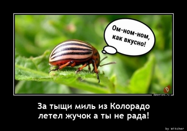Подборка картинок с надписями 23.06.22