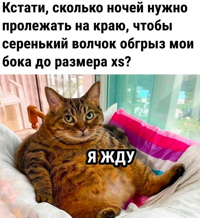 Так себе картинки 05.10.22