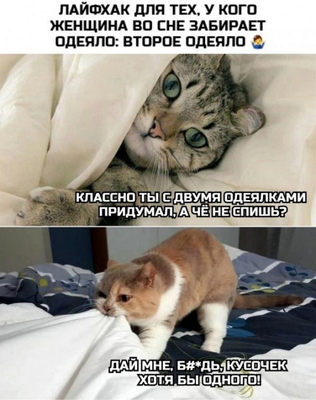 Забавные комментарии из социальных сетей (10.10.22)