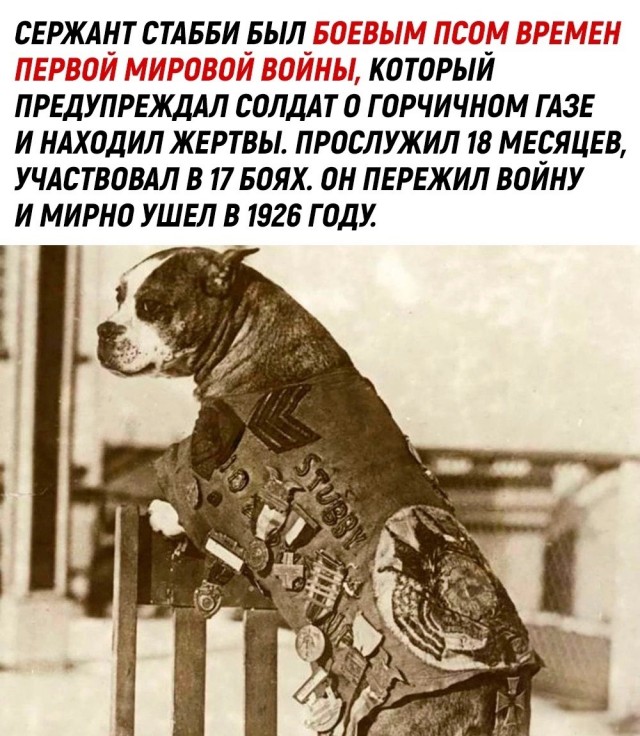 Интересные и редкие ретро-фотографии 23.01.2023