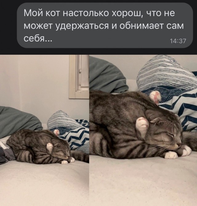 Картинки и мемы, всем хороших выходных