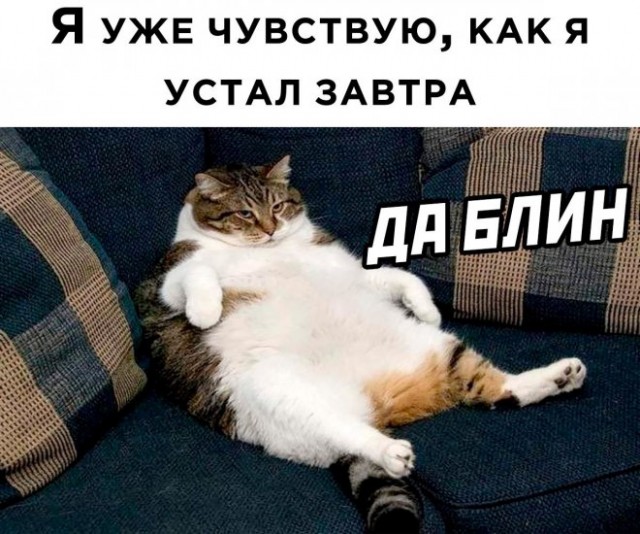 Немного картинок для настроения - 137
