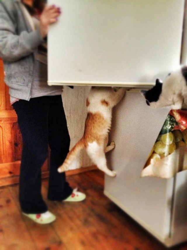 Есть еще добрые люди…