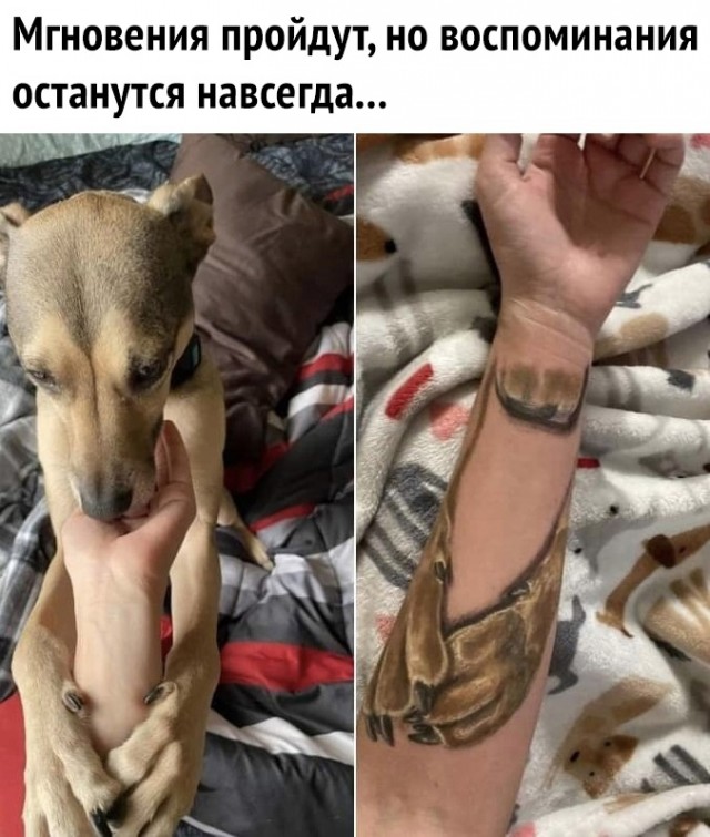 Так себе картинки 30.03.23