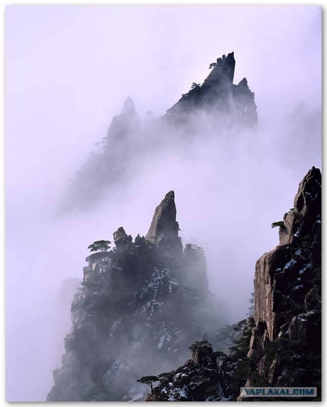 Фотограф Leping Zha