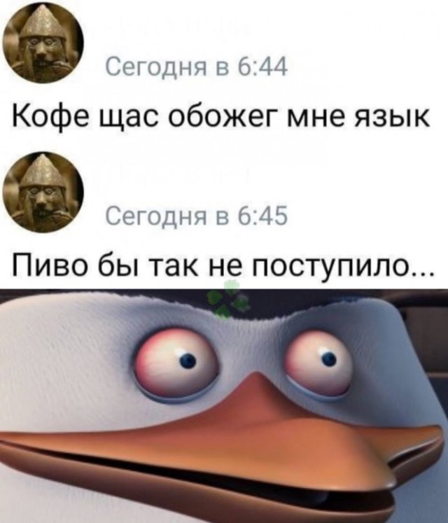 Весёлый полтишок 10.10.23