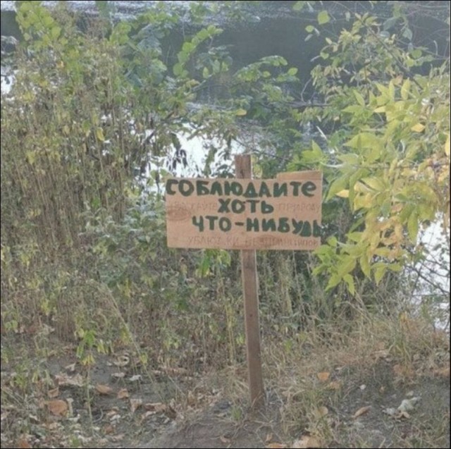 Перлы 12.10.23