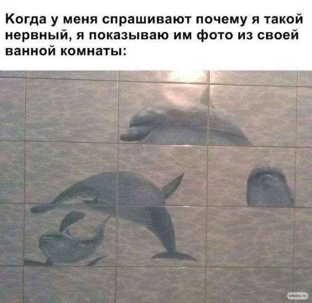 Отряд быстрого деградирования