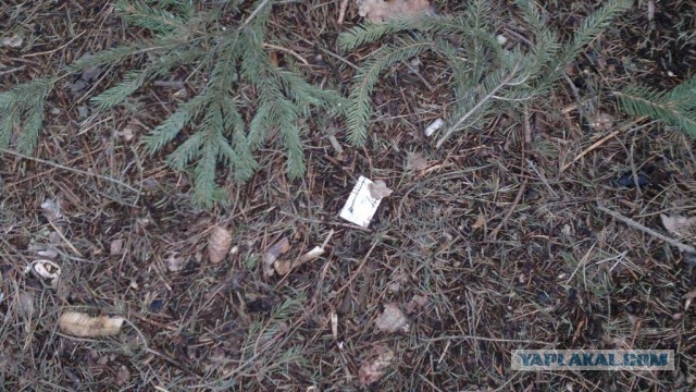 Сходил в лес