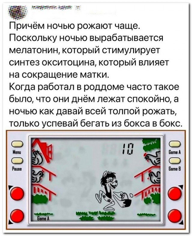 Забавные комментарии из социальных сетей (20.11.23)