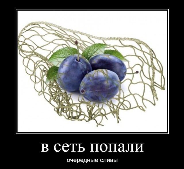 Весёлый полтишок 24.12.23
