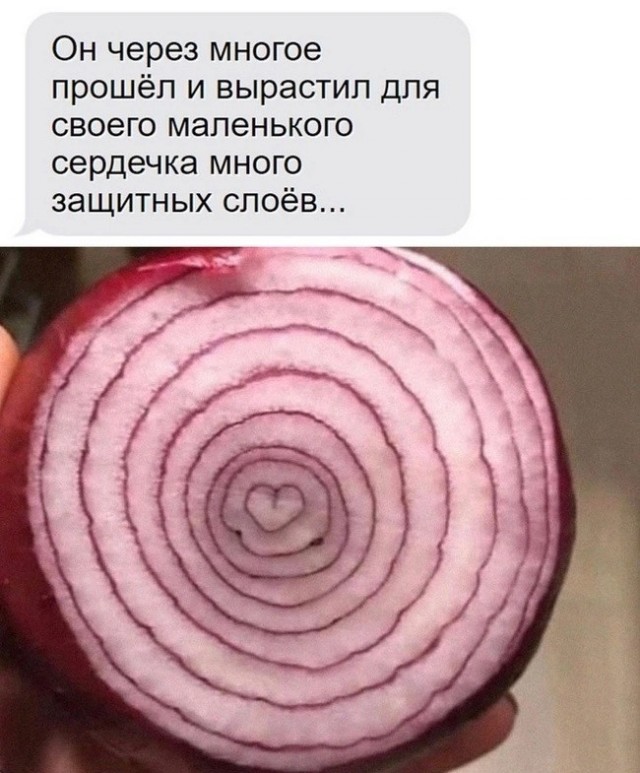 Картинки от Scodero в 2024 году