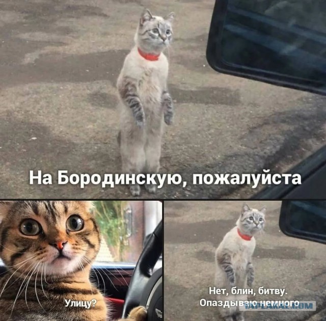 Пятничные картинки 19.01.2024