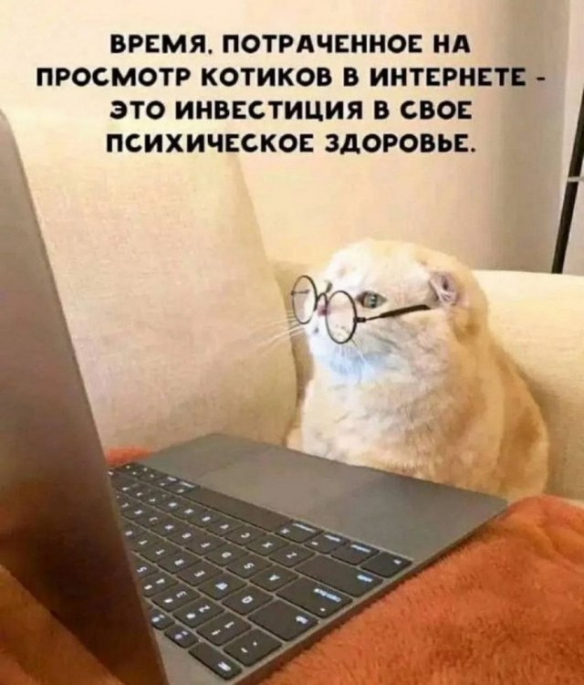 Всего понемногу. От 23.02.24