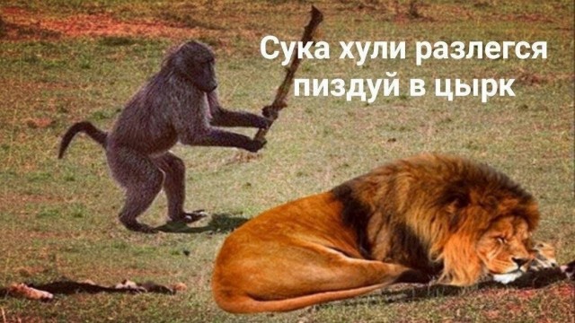 Всего понемногу. От 07.04.2024
