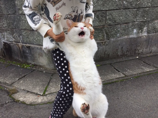 Настоящий зверюга