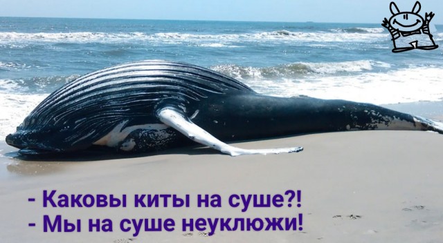 Новая водородная бомба, испытание