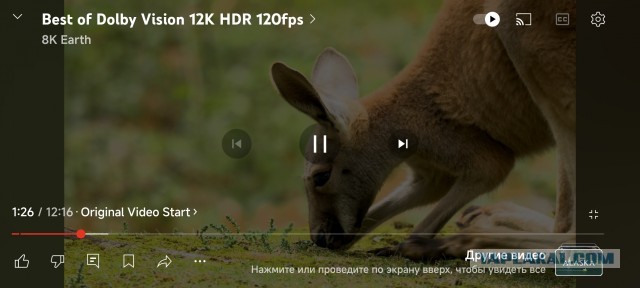 ТАСС. YouTube перестал воспроизводить видео в высоком разрешении почти во всех браузера в РФ