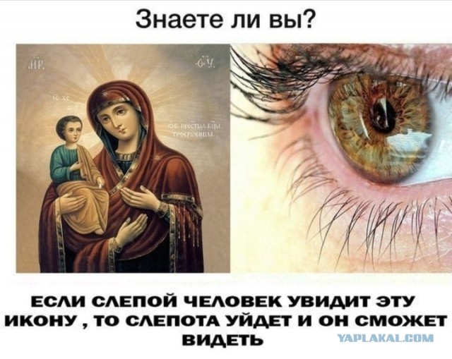 Немного забавных картинок от 18.08.2024