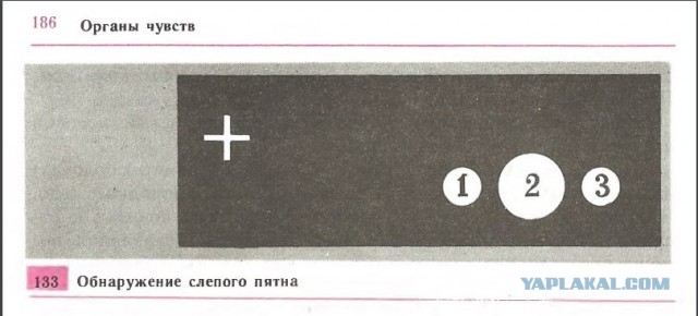 Думал нас Маша за дураков держит