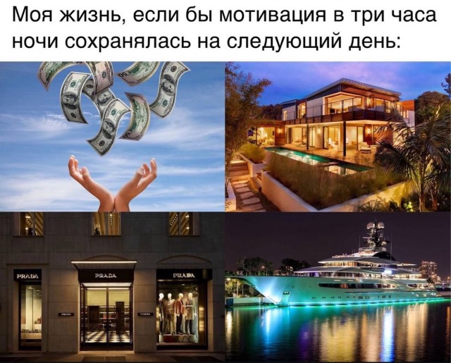Немного забавных картинок от 23.10.2024