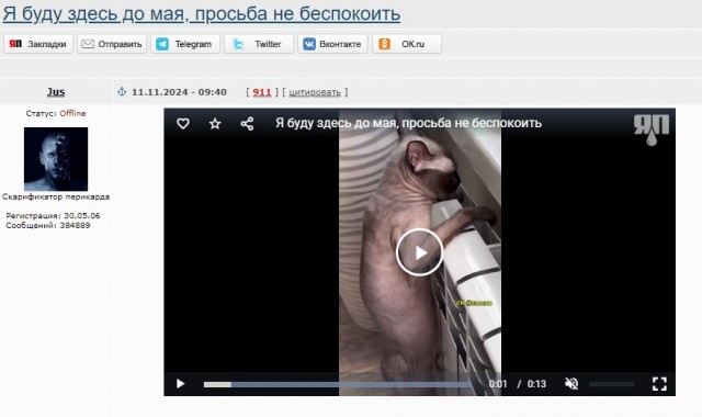 Бабушка связала ей шапочку из её же шерсти