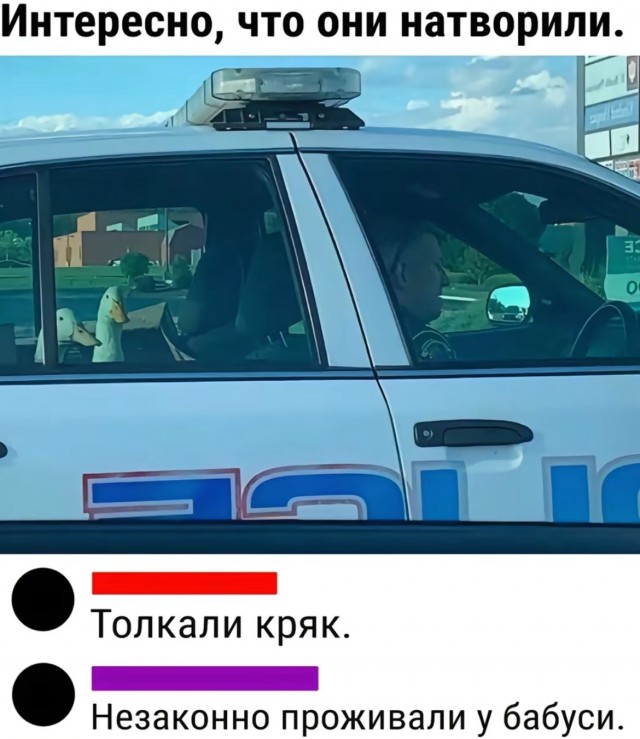 Завалялось тут случайно немного забавных картинок