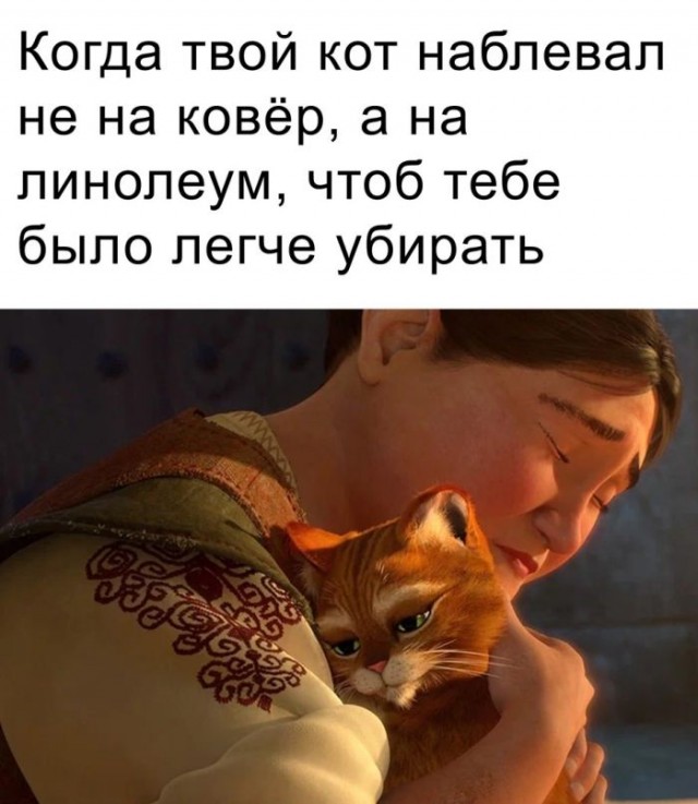 Веселые картинки в пятницу (06.12)