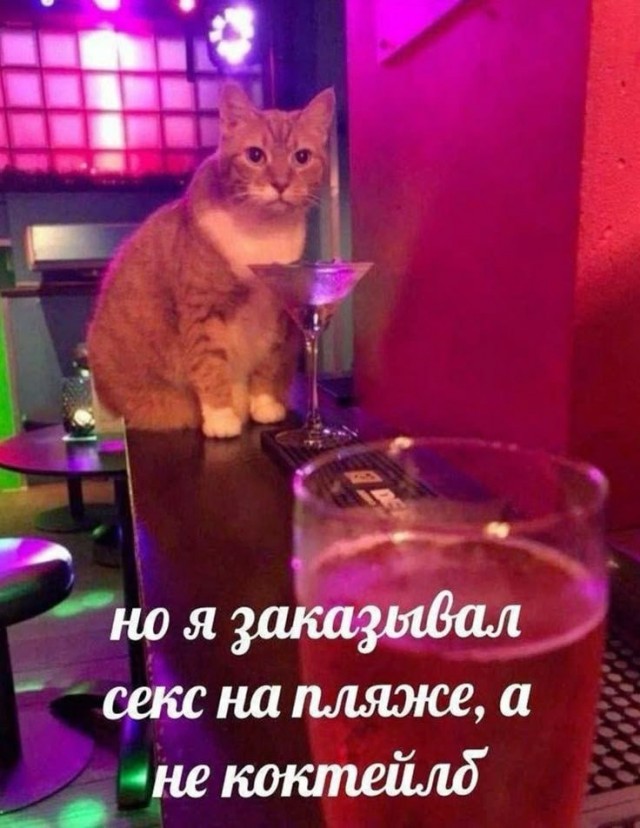 50 пятничных картинок
