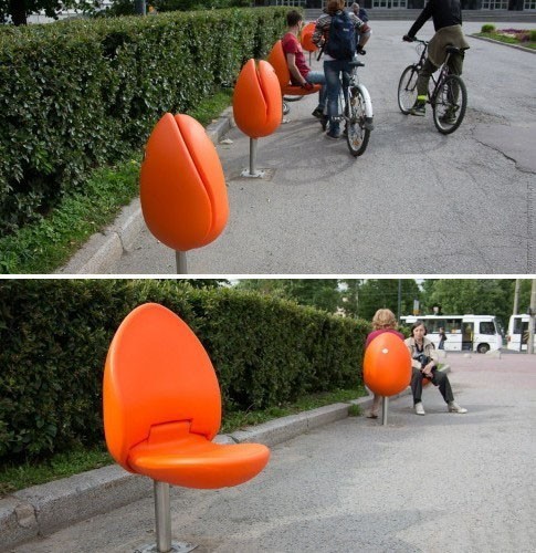 Присядь на тюльпан в Питере.