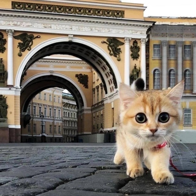 Прикольные и просто красивые картинки 13.05.2025