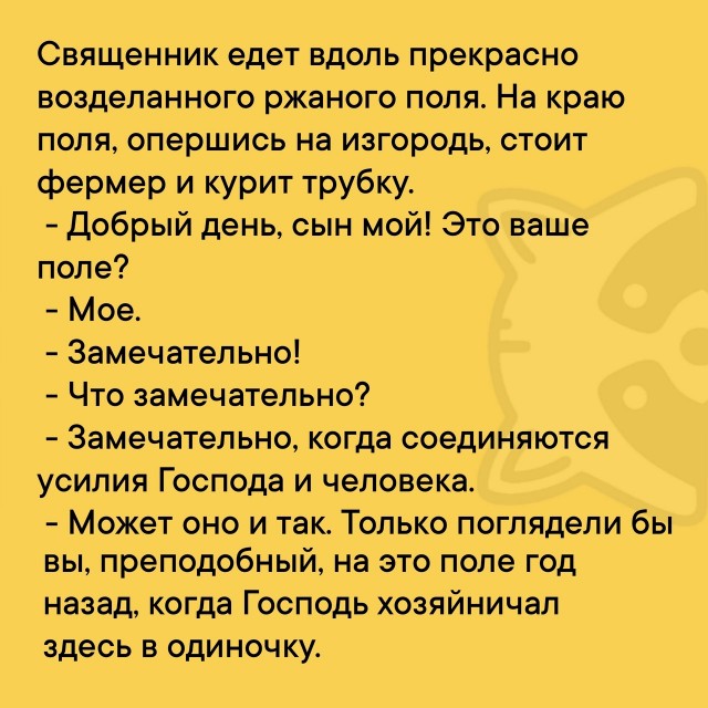 Так себе картинки 17.06.25
