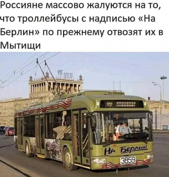 20158743.jpg