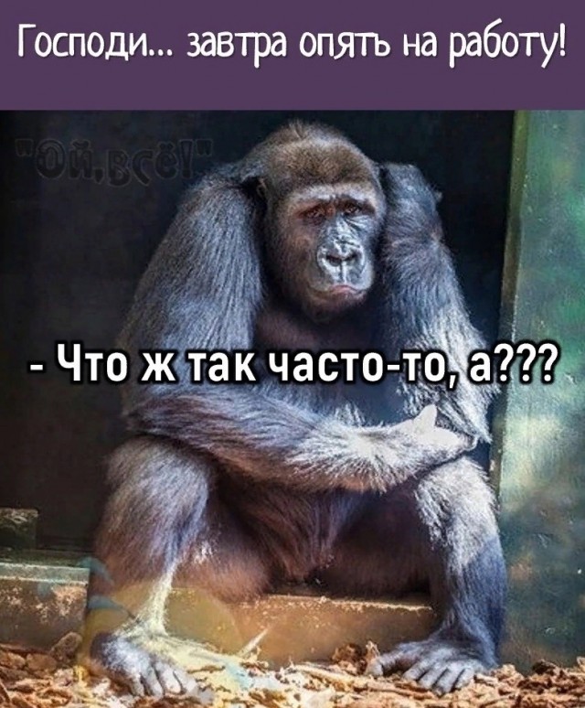 Завалялось тут случайно немного забавных картинок