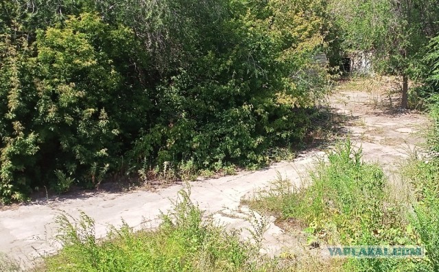 В Москве перекрыли Кутузовский проспект