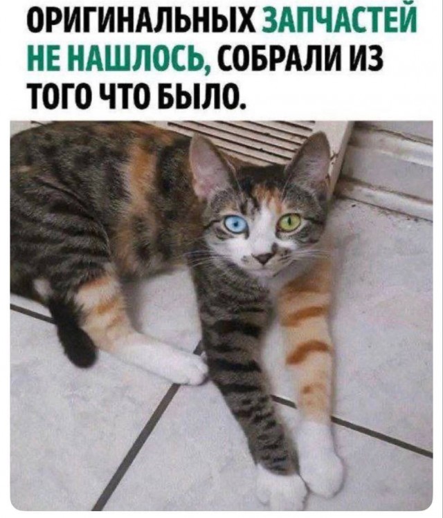 Веселое настроение в картинках (08.11.2025)