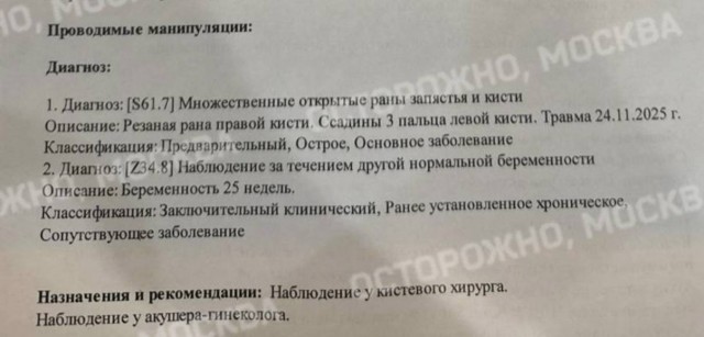 На беременную женщину в ТЦ Авиапарк напала женщина, чтобы отобрать у нее пакеты с покупками
