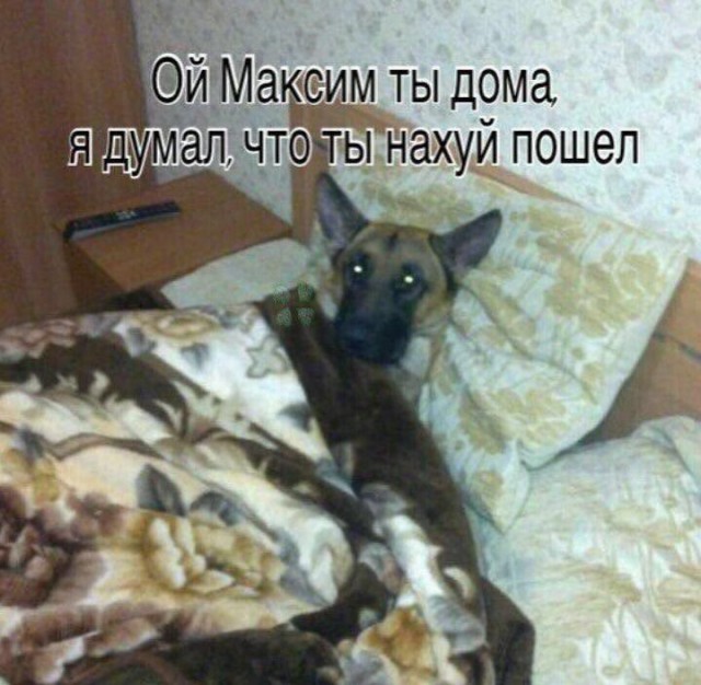Так себе картинки 29.11.25