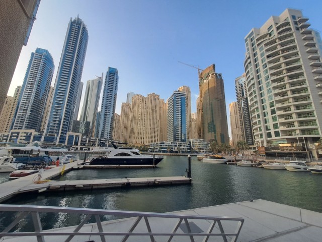 Дубайск в декабре