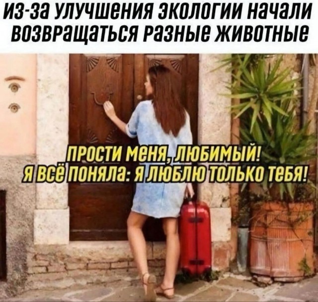 Забавные и не очень скромные картинки - 24
