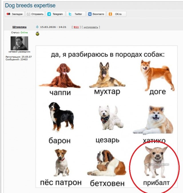 Честно про русофобию. С точки зрения Насти, польки на русском.