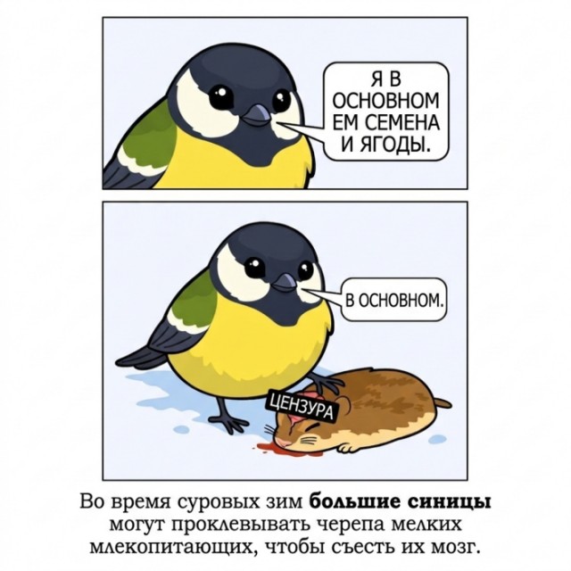 Картинки для деградации 163 (разной степени свежести)
