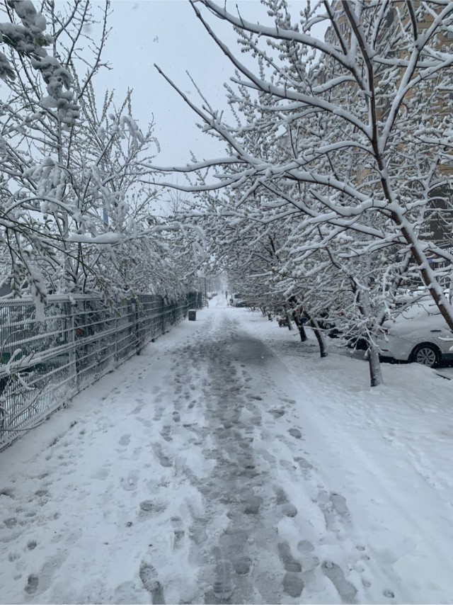 Утро в Москве
