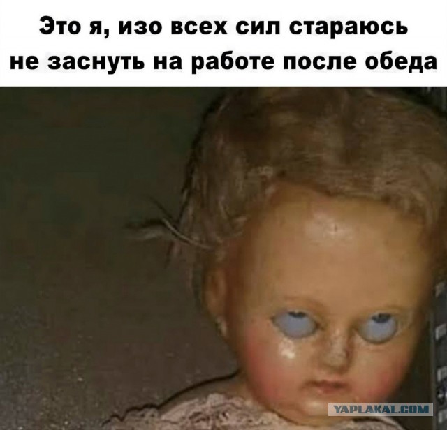 Картинки для деградации 220 (разной степени свежести)
