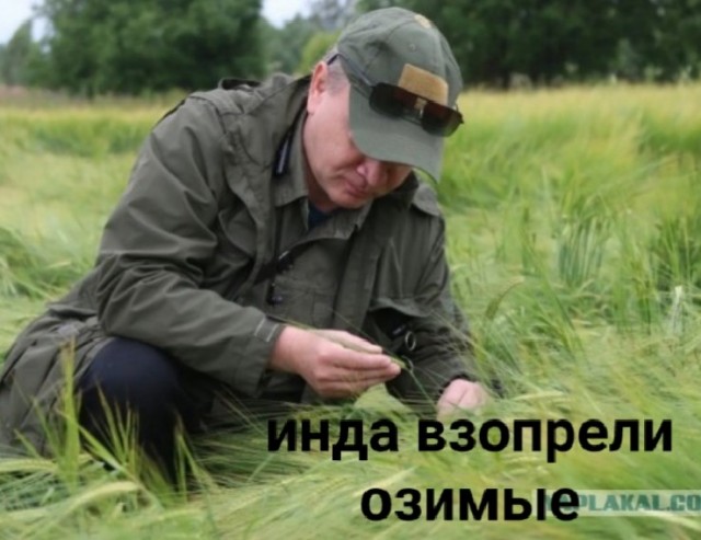 Сегодня я был в командировке в крупном агрохолдинге